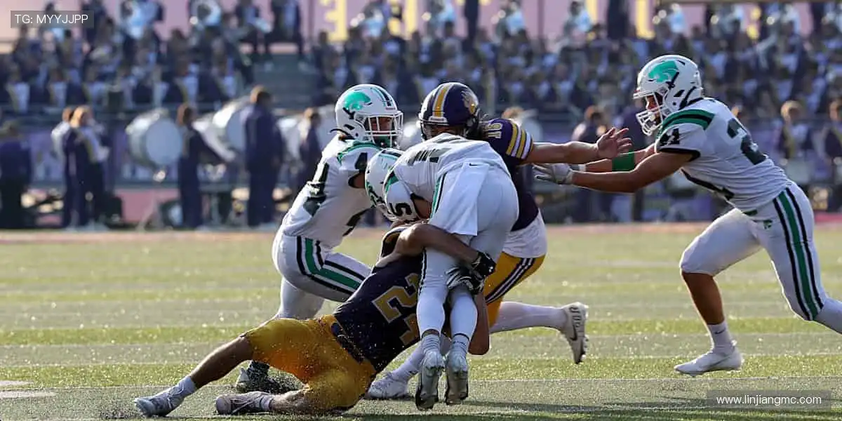 💻多屏同步，随时畅看！⚾️ 体育直播，让热爱无缝衔接！